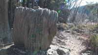 葦毛湿原から岩崎・豊橋自然歩道ハイキング-3
