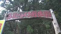 奈良みたらい渓谷ハイキング-3