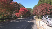 奈良みたらい渓谷ハイキング-9
