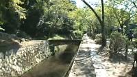 京都哲学の道