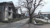 富岡製糸場を巡る道