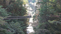  奈良みたらい渓谷ハイキング