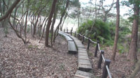 葦毛湿原から岩崎・豊橋自然歩道ハイキング-2