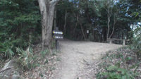 葦毛湿原から岩崎・豊橋自然歩道ハイキング-5