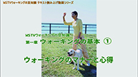 ウォーキングのマナーと心得