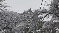 雪の中の和歌山城に登ってみた