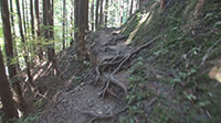 奈良みたらい渓谷ハイキングコース-10